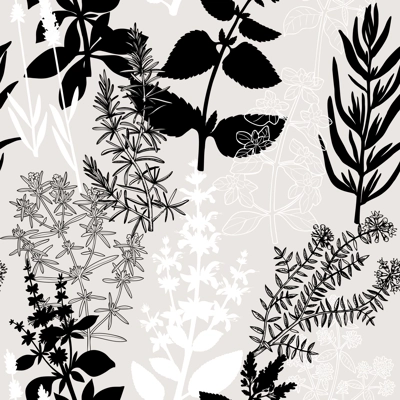 Collage-style Provence herbs background. Herbal plants hand-drawn vector illustrations. Seamless pattern with sage, peppermint, rosemary, lavender sketches. NOT AI generated
